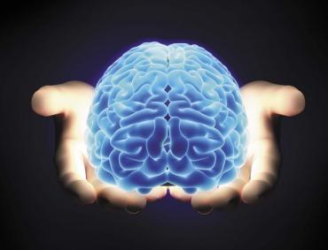One Brain - A gyógyító érintés